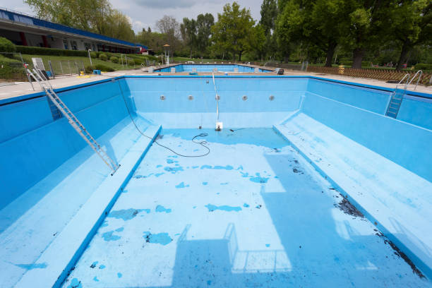 Best Professional water damage repair  in New Franklin, OH