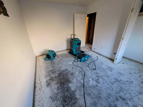 Best Carpet water damage restoration  in New Franklin, OH
