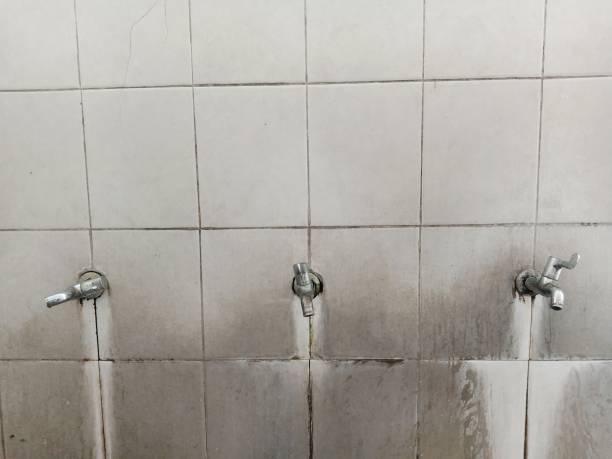 Best Carpet water damage restoration  in New Franklin, OH