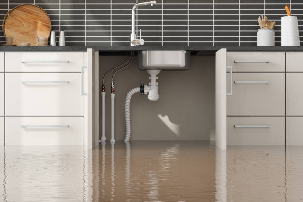 Best Flood restoration services  in New Franklin, OH
