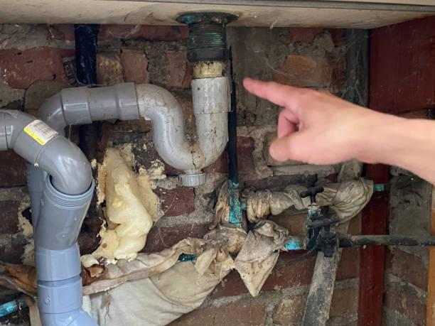 Best Ceiling water damage repair  in New Franklin, OH